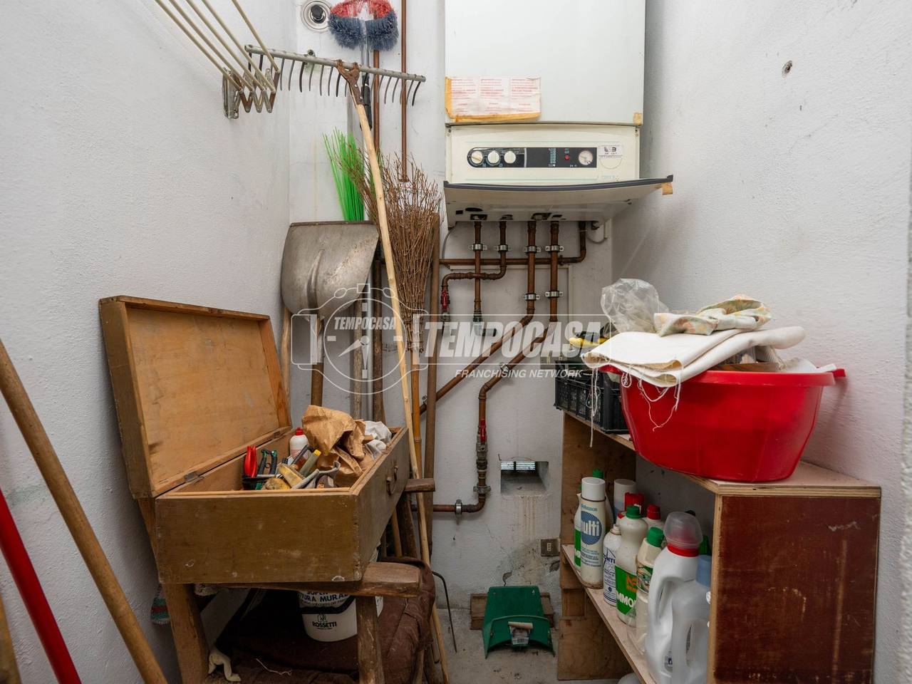 immagine annuncio 14 di 15