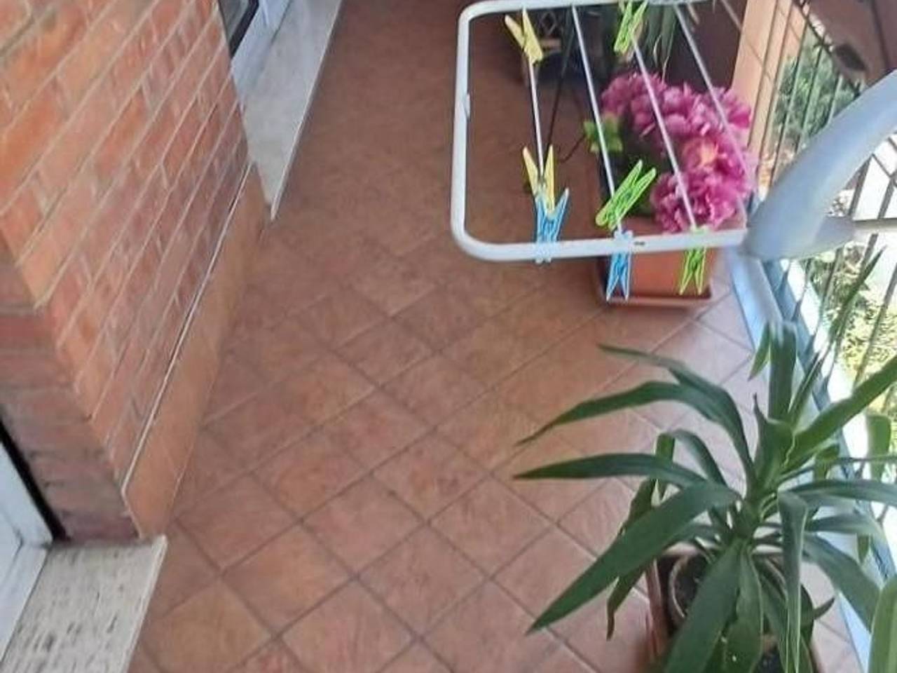 immagine annuncio 11 di 13