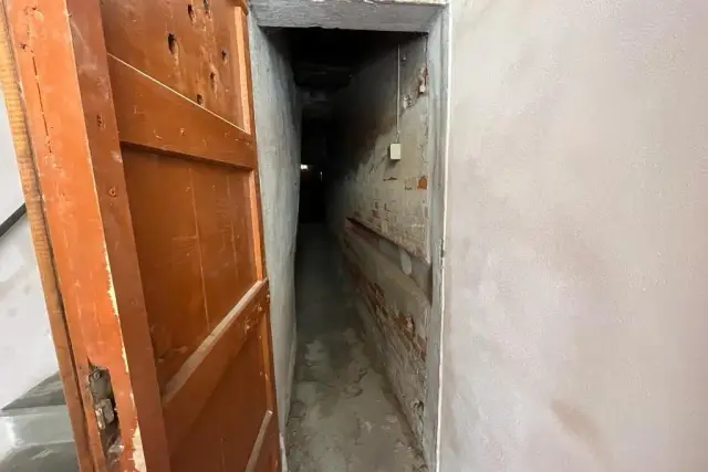 insertion image
