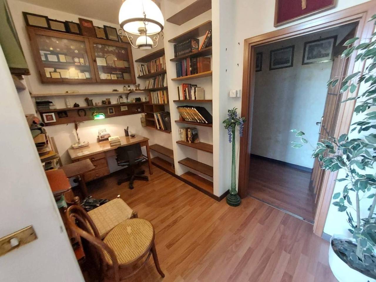 immagine annuncio 5 di 14