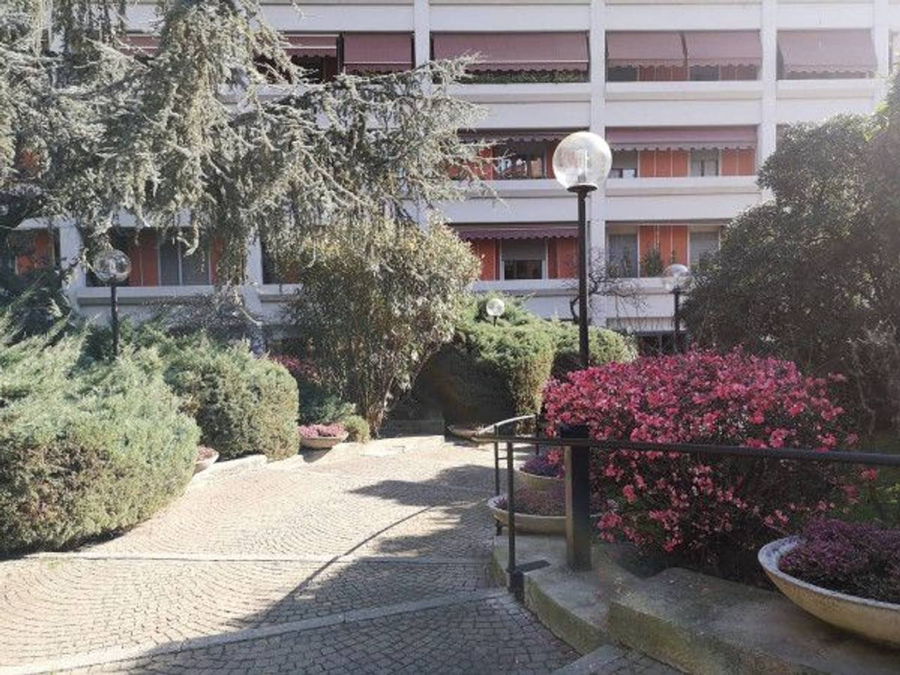 immagine annuncio 1 di 13