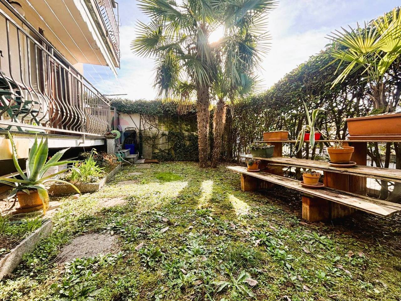 immagine annuncio 7 di 8