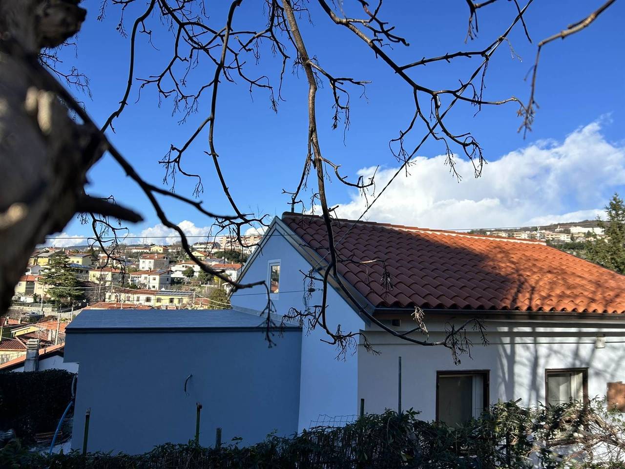 immagine annuncio 2 di 11