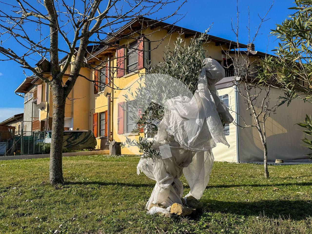 immagine annuncio 3 di 15