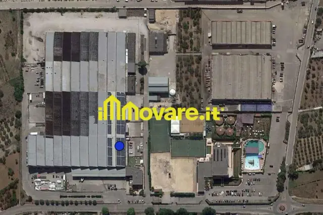 insertion image
