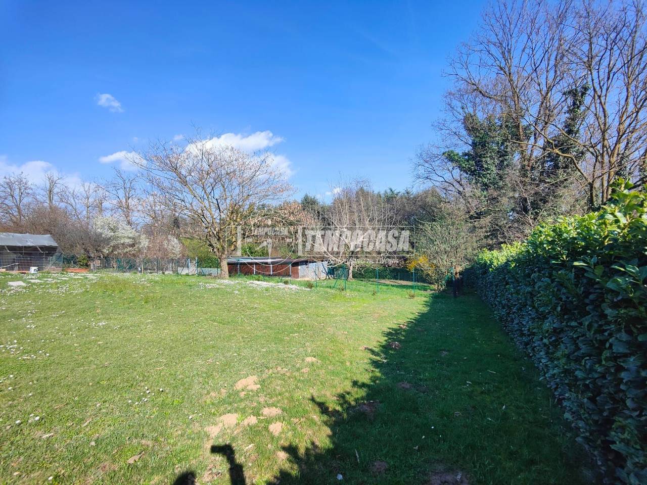 immagine annuncio 2 di 12