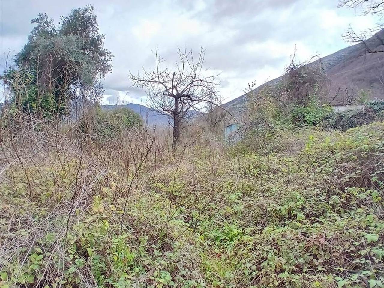 immagine annuncio 6 di 11
