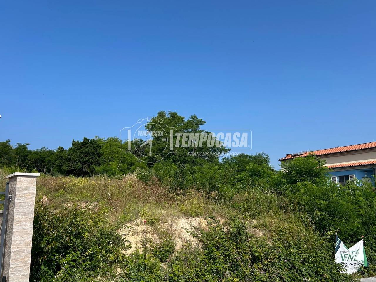 immagine annuncio 3 di 11