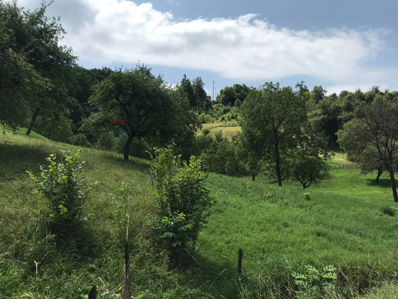 immagine annuncio 1 di 7