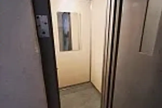insertion image
