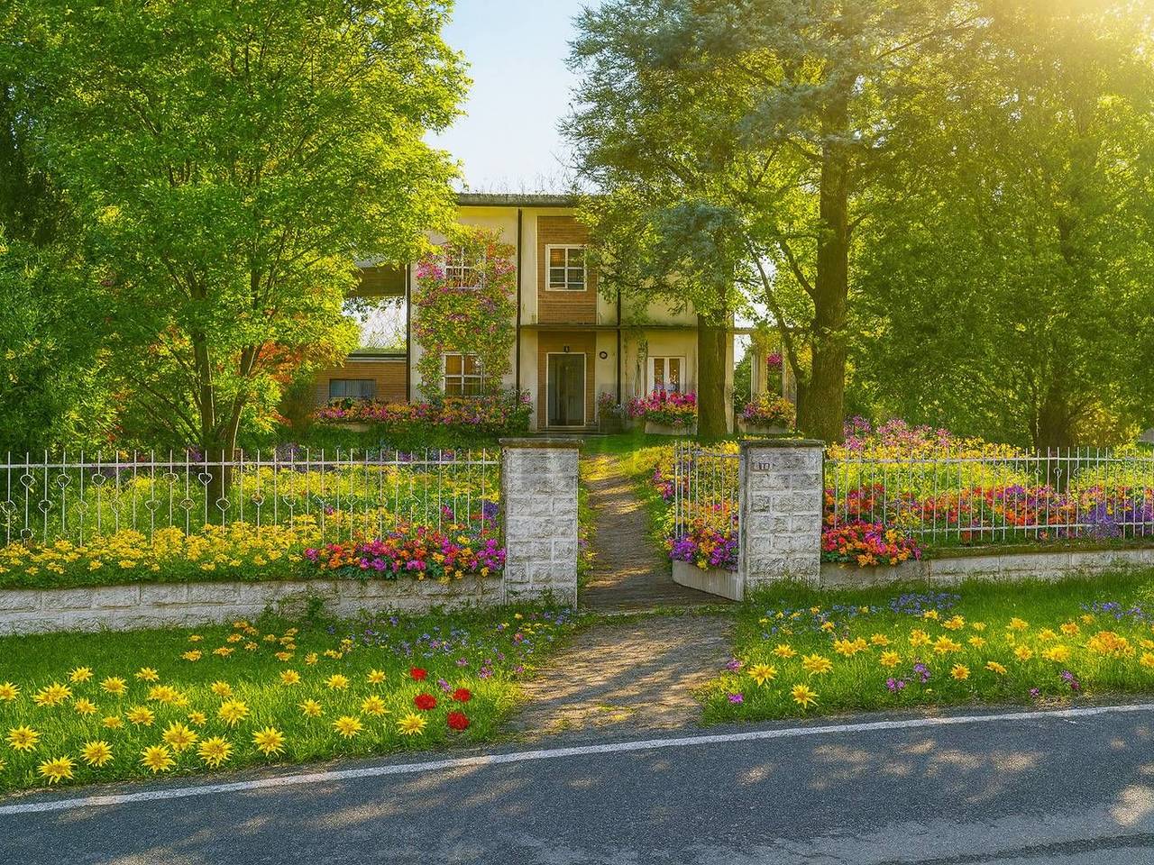 immagine annuncio 3 di 15