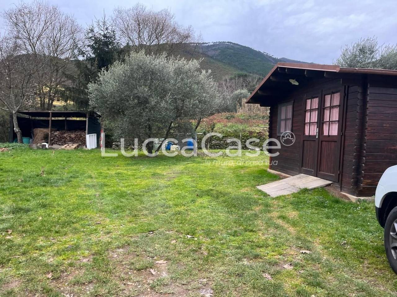 immagine annuncio 12 di 13