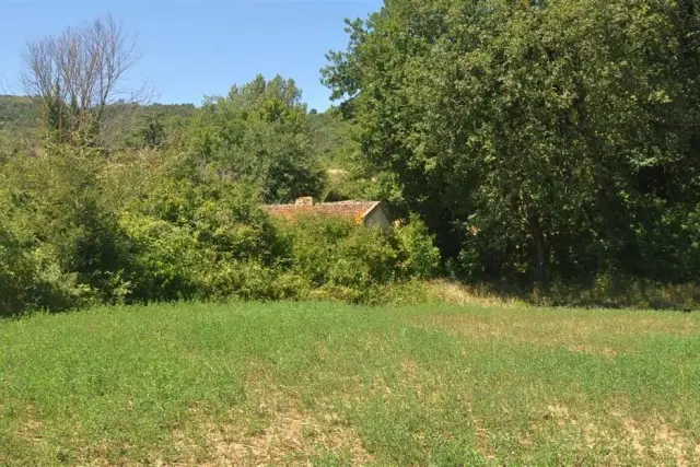 insertion image