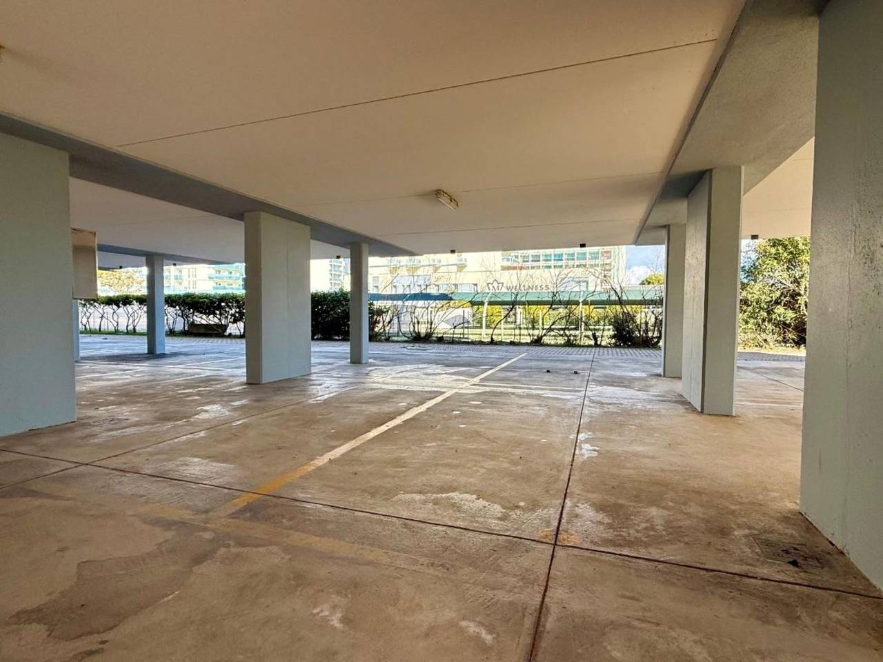 immagine annuncio 7 di 8