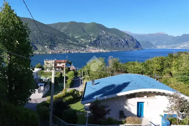 insertion image