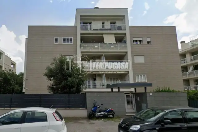 insertion image