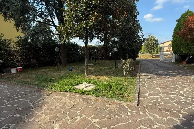 insertion image