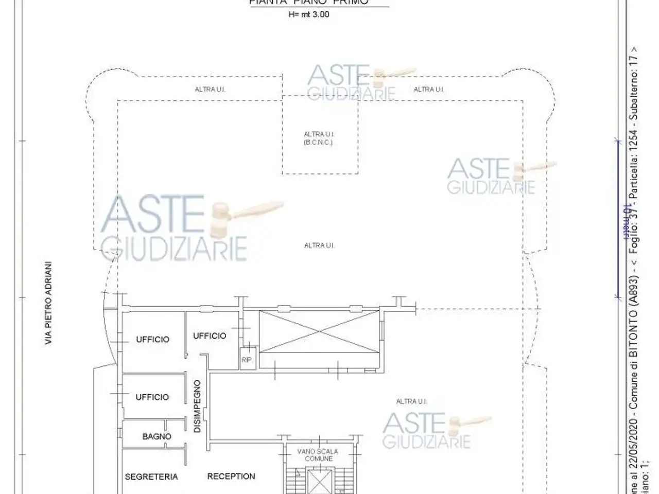 Ufficio in Viale Europa, Bitonto, {3} - Planimetria 1