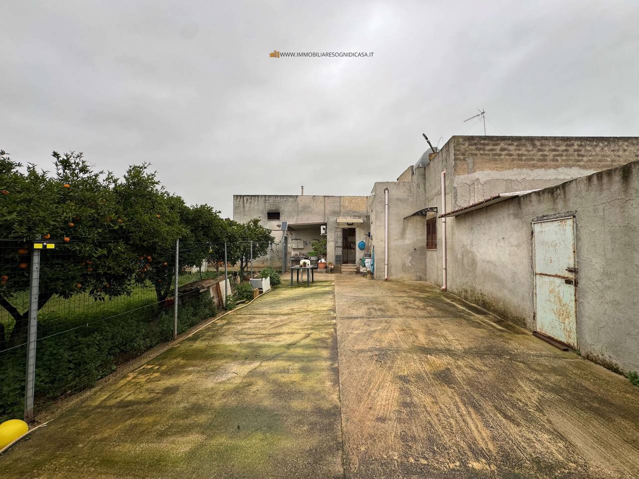 immagine annuncio 9 di 11