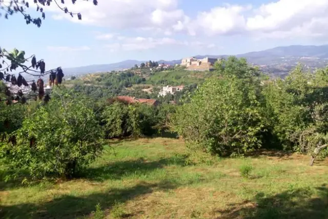 insertion image