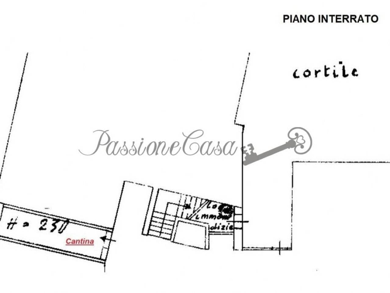 immagine annuncio 12 di 14