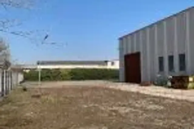 insertion image