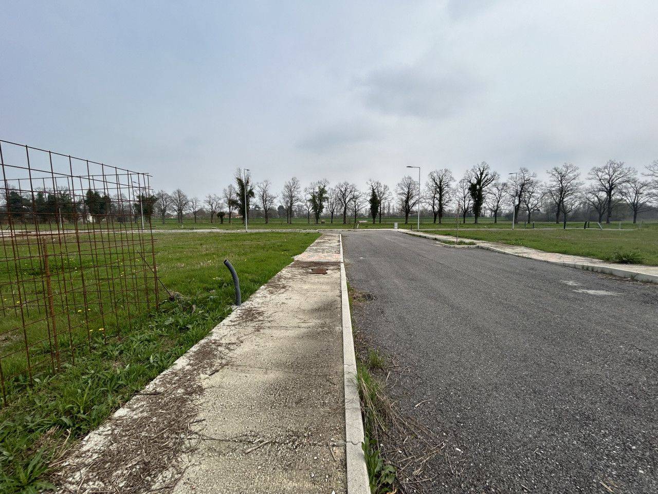 immagine annuncio 10 di 13