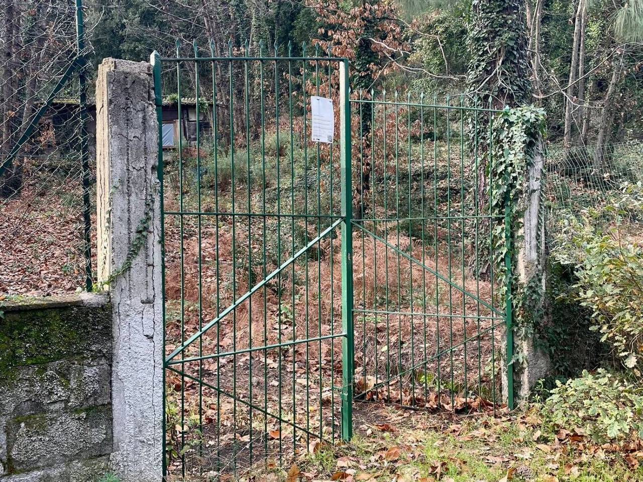 immagine annuncio 7 di 13