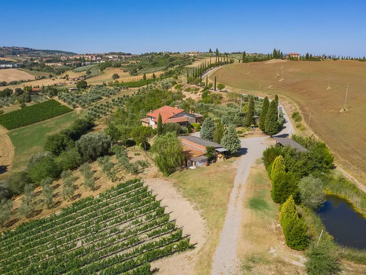 Azienda agricola in , San Quirico D'Orcia, {3} - Foto 2