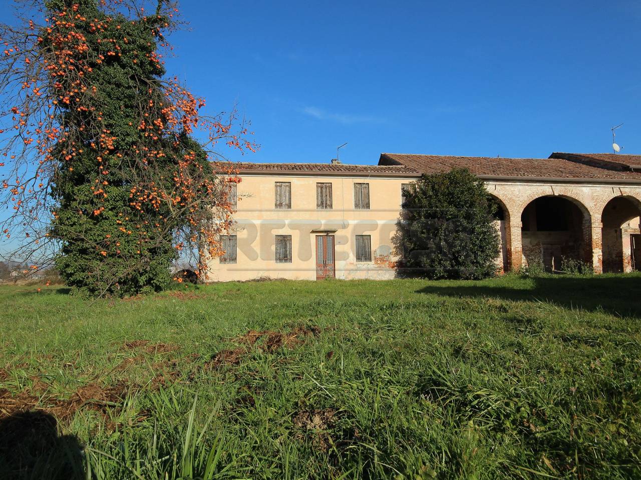 immagine annuncio 2 di 6