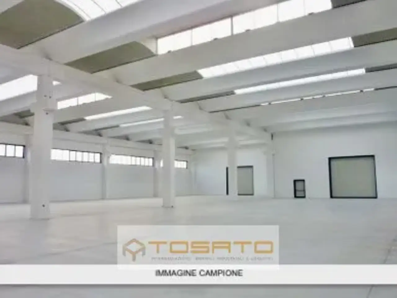 Capannone in , Zevio, {3} - Foto 1