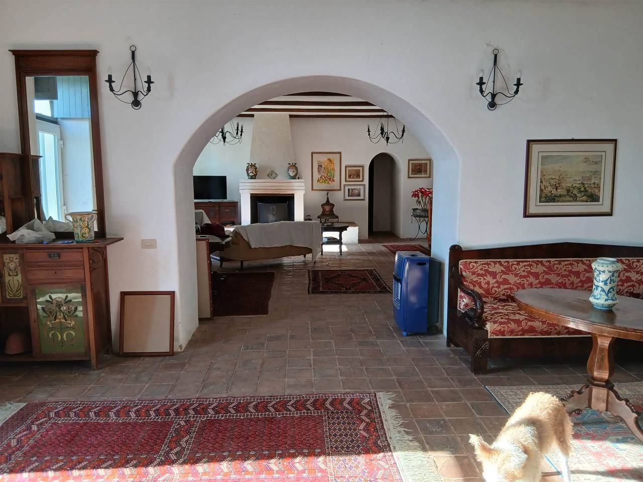 immagine annuncio 7 di 15