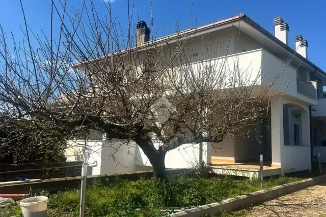 insertion image