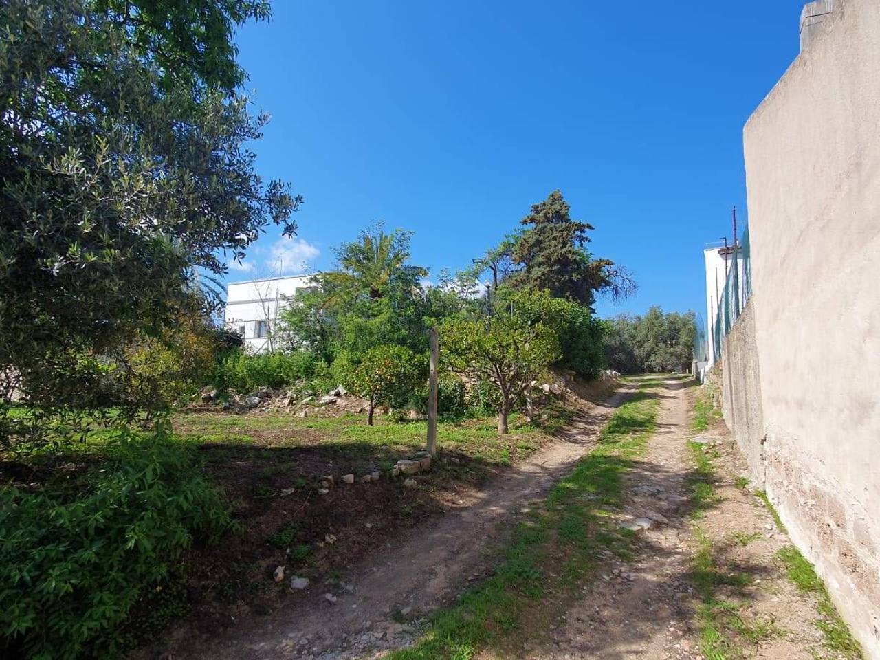 immagine annuncio 10 di 11