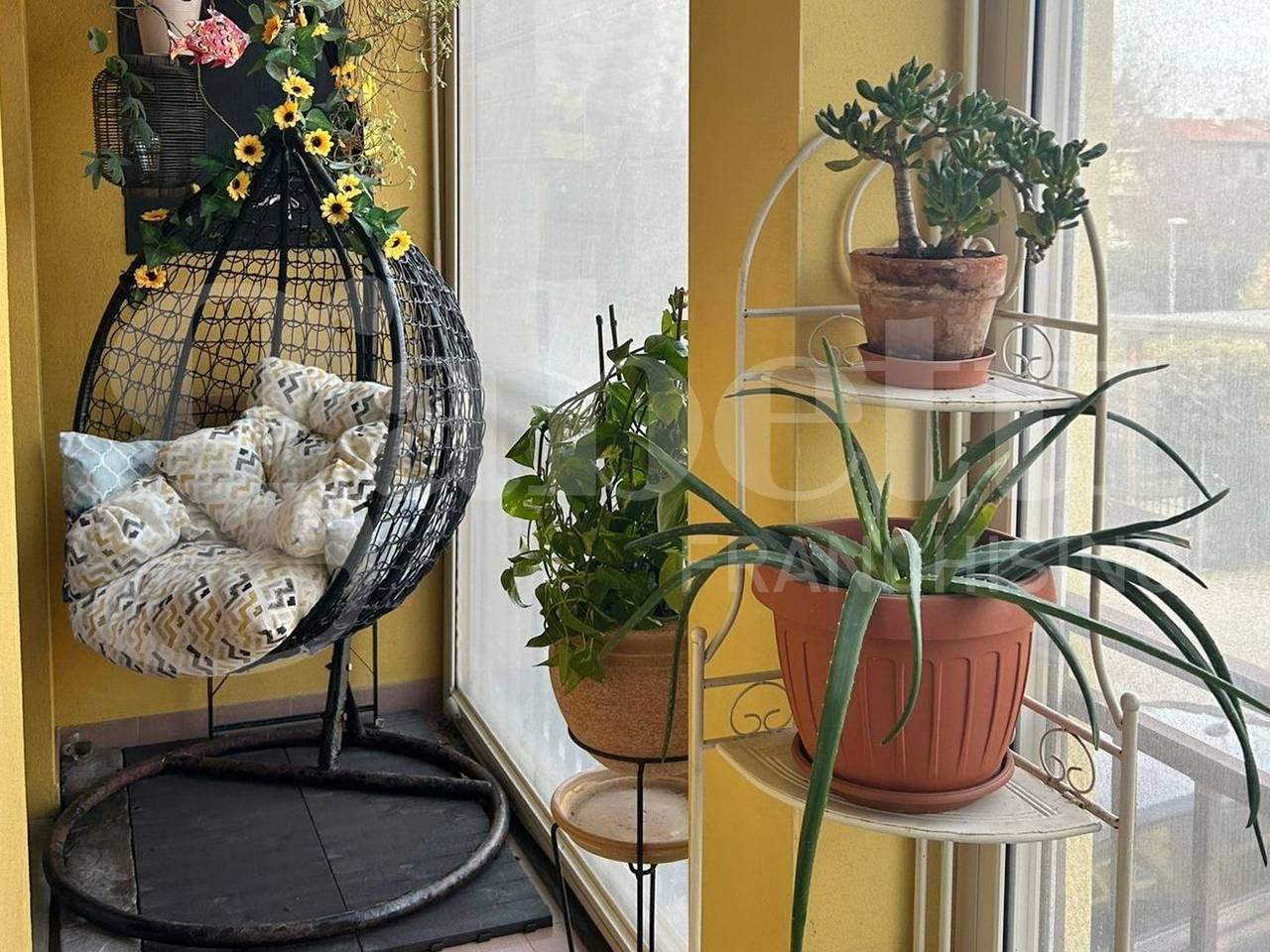 immagine annuncio 9 di 11