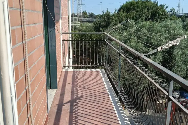 insertion image