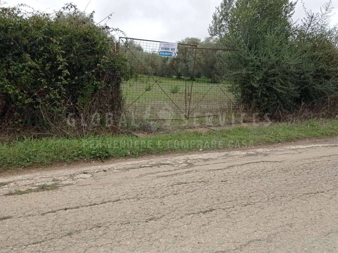 immagine annuncio 10 di 14