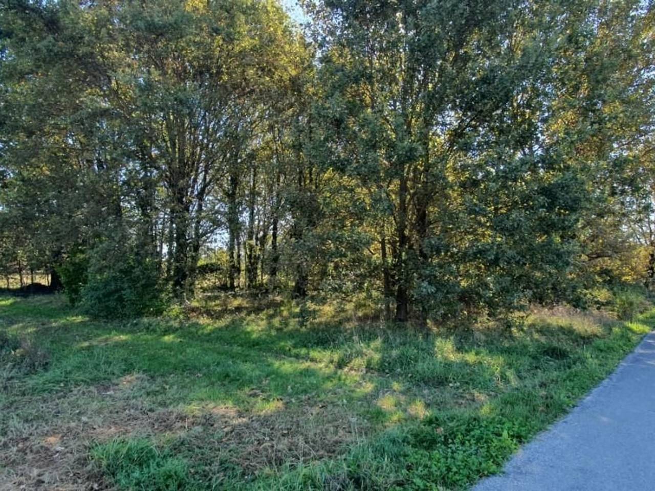 immagine annuncio 1 di 3