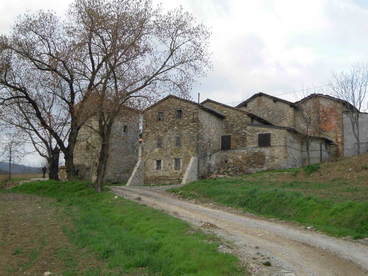 immagine annuncio 9 di 11