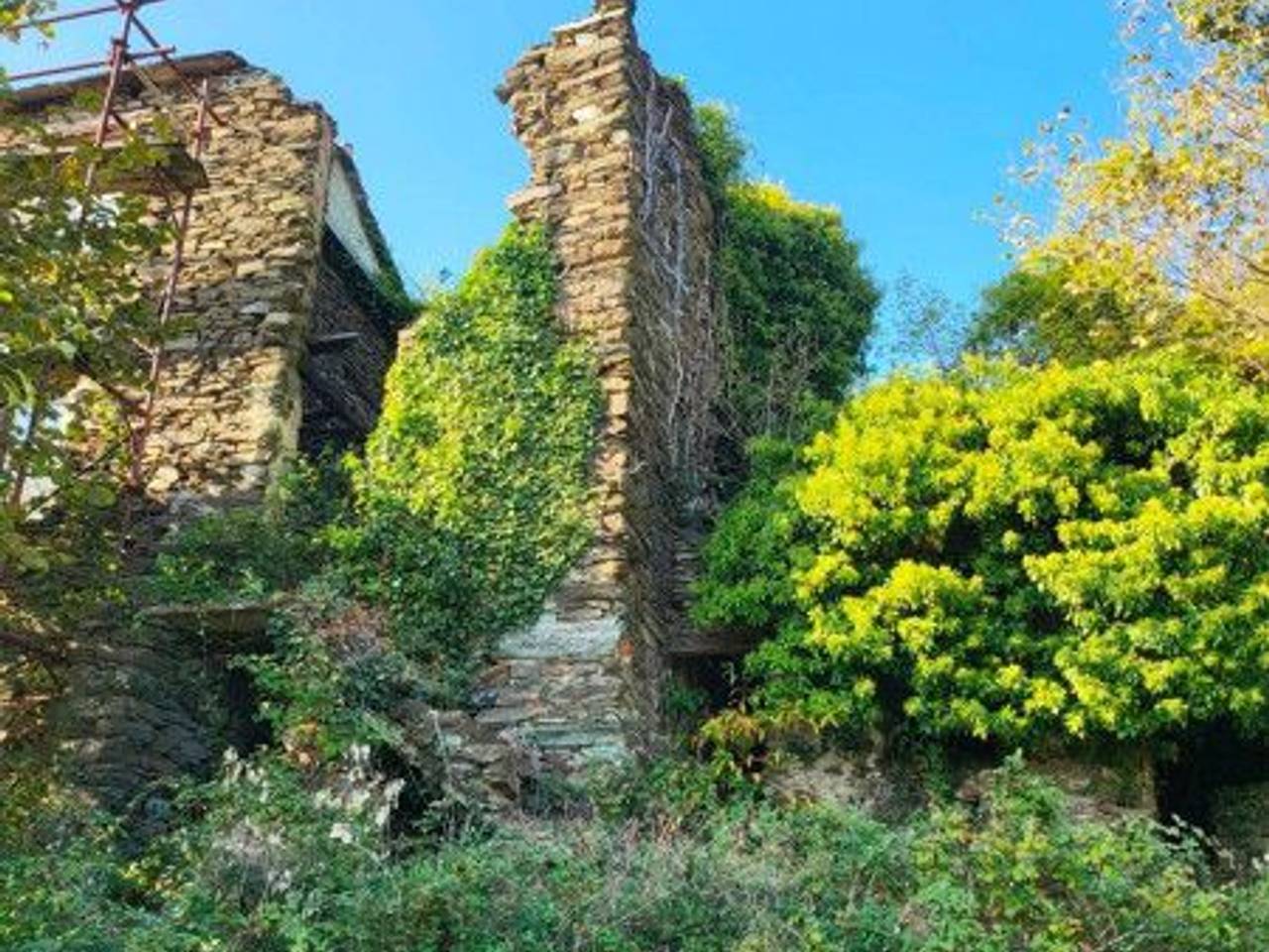 immagine annuncio 2 di 11