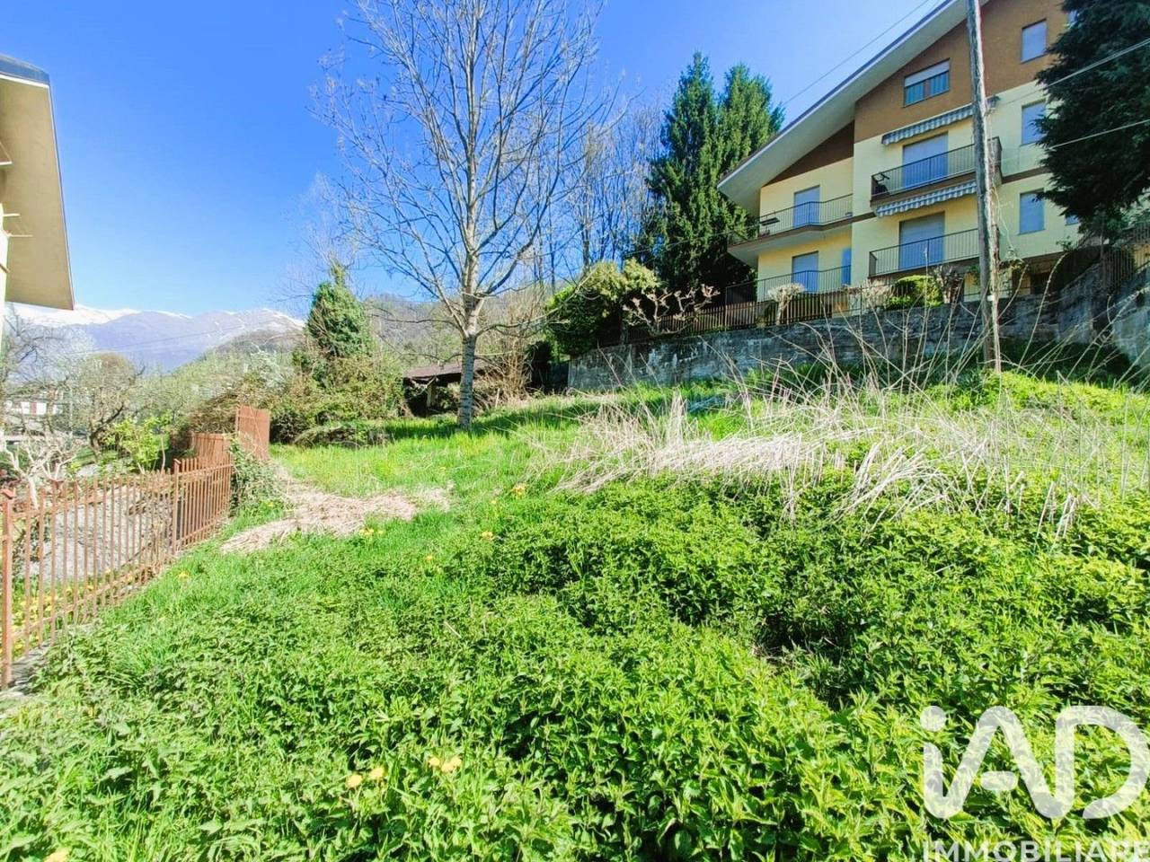 immagine annuncio 6 di 15