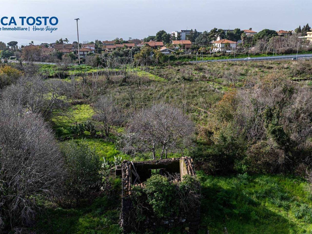 immagine annuncio 3 di 12