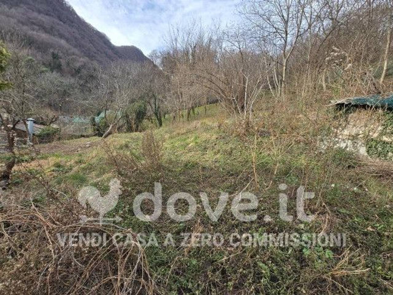 immagine annuncio 4 di 7