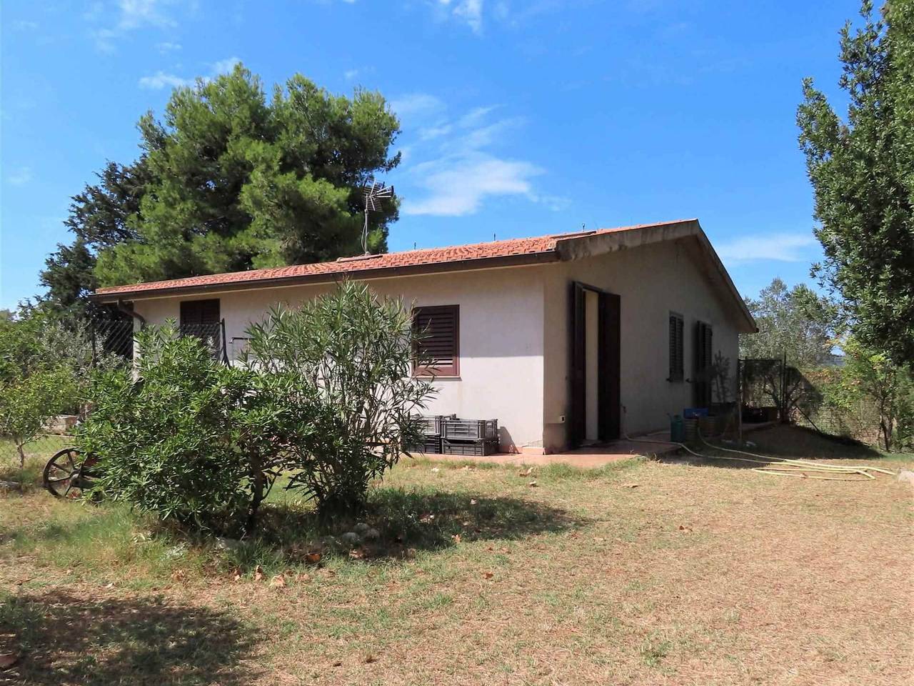 immagine annuncio 10 di 15