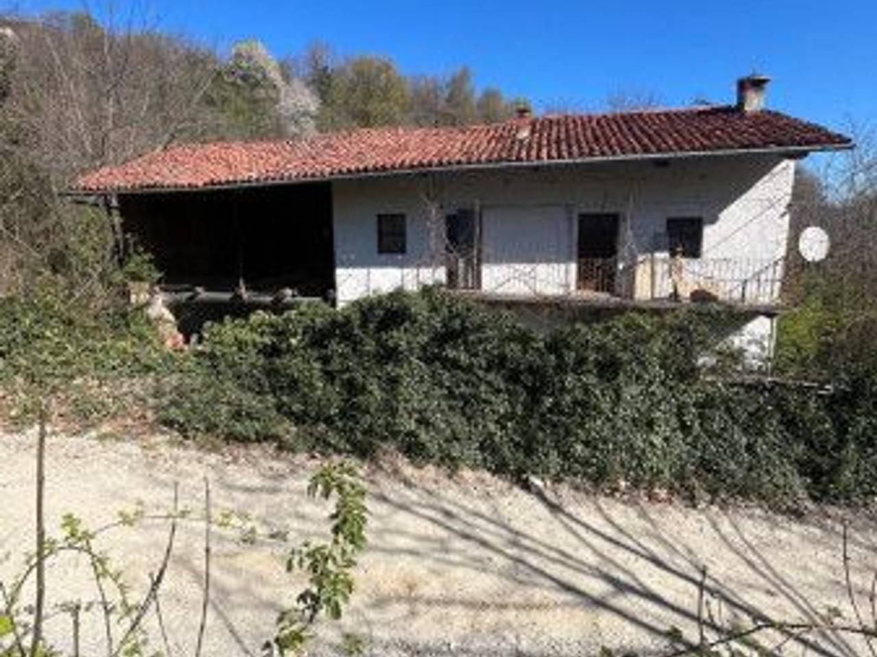 immagine annuncio 8 di 14