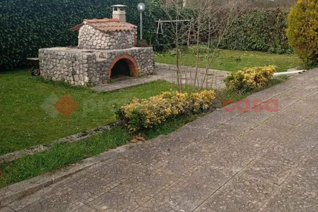 insertion image