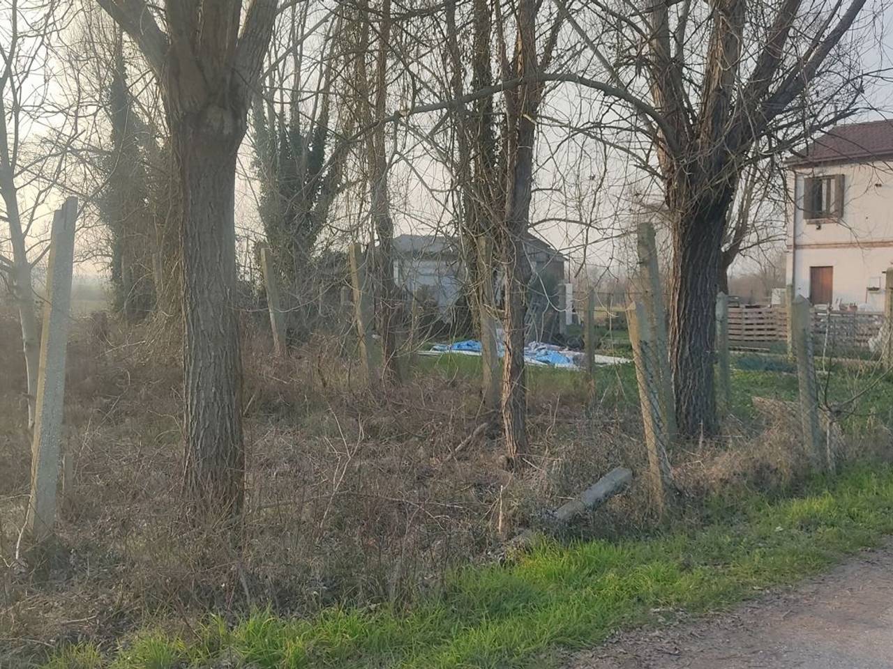 immagine annuncio 5 di 14