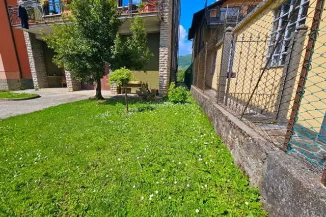 insertion image