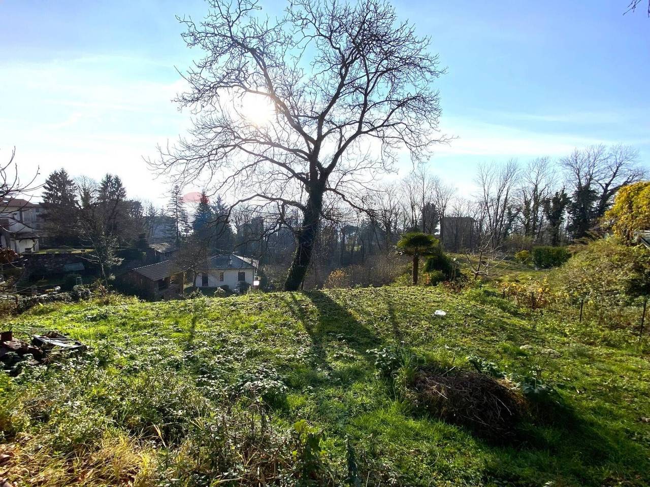 immagine annuncio 7 di 8