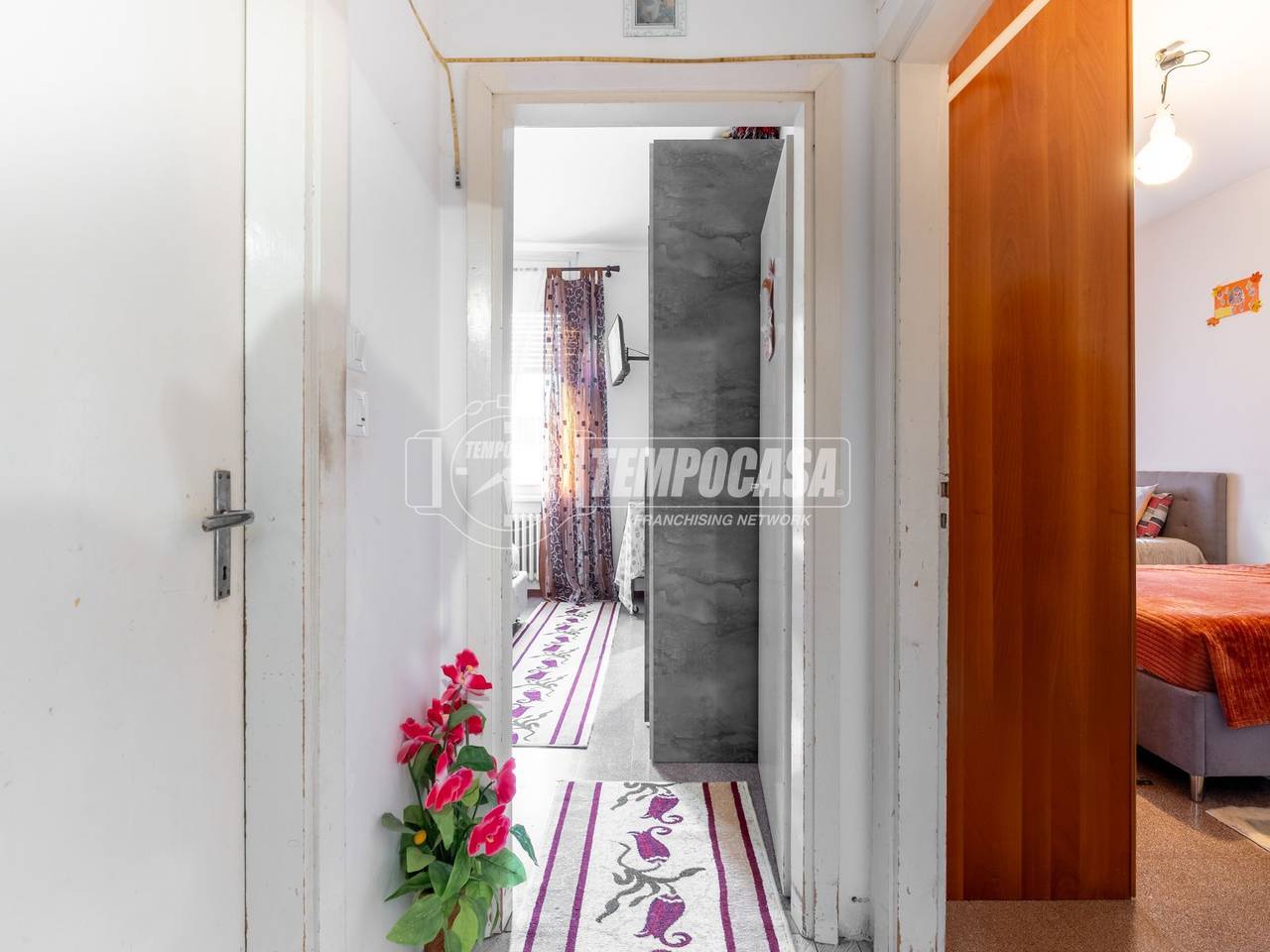 immagine annuncio 7 di 14